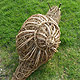 Woven willow Snail